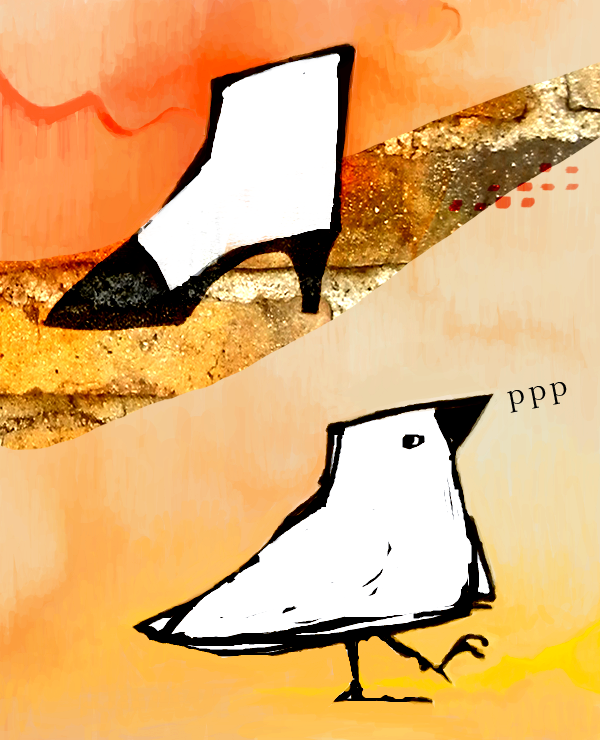 shoe and bird